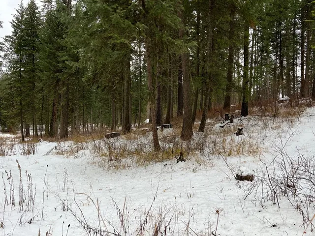 $285,000 | Tbd South Samson Trail, McCall, ID 83638