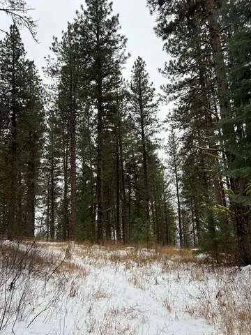$285,000 | Tbd South Samson Trail, McCall, ID 83638