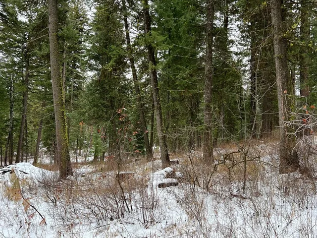 $285,000 | Tbd South Samson Trail, McCall, ID 83638