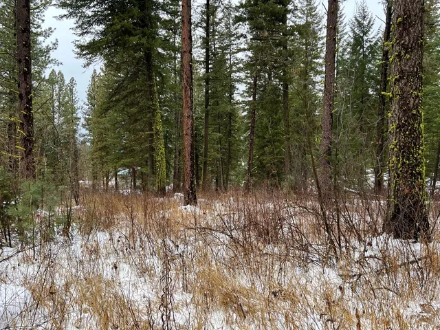 $285,000 | Tbd South Samson Trail, McCall, ID 83638