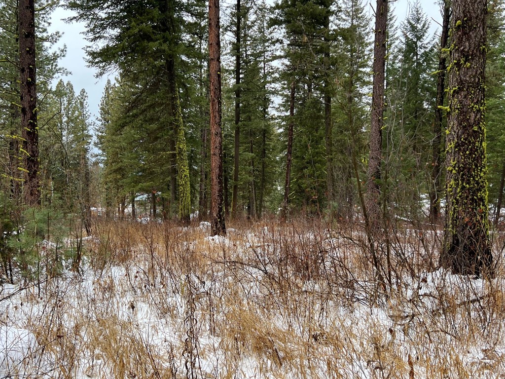 Tbd South Samson Trail McCall, ID 83638 - Photo 10 of 14