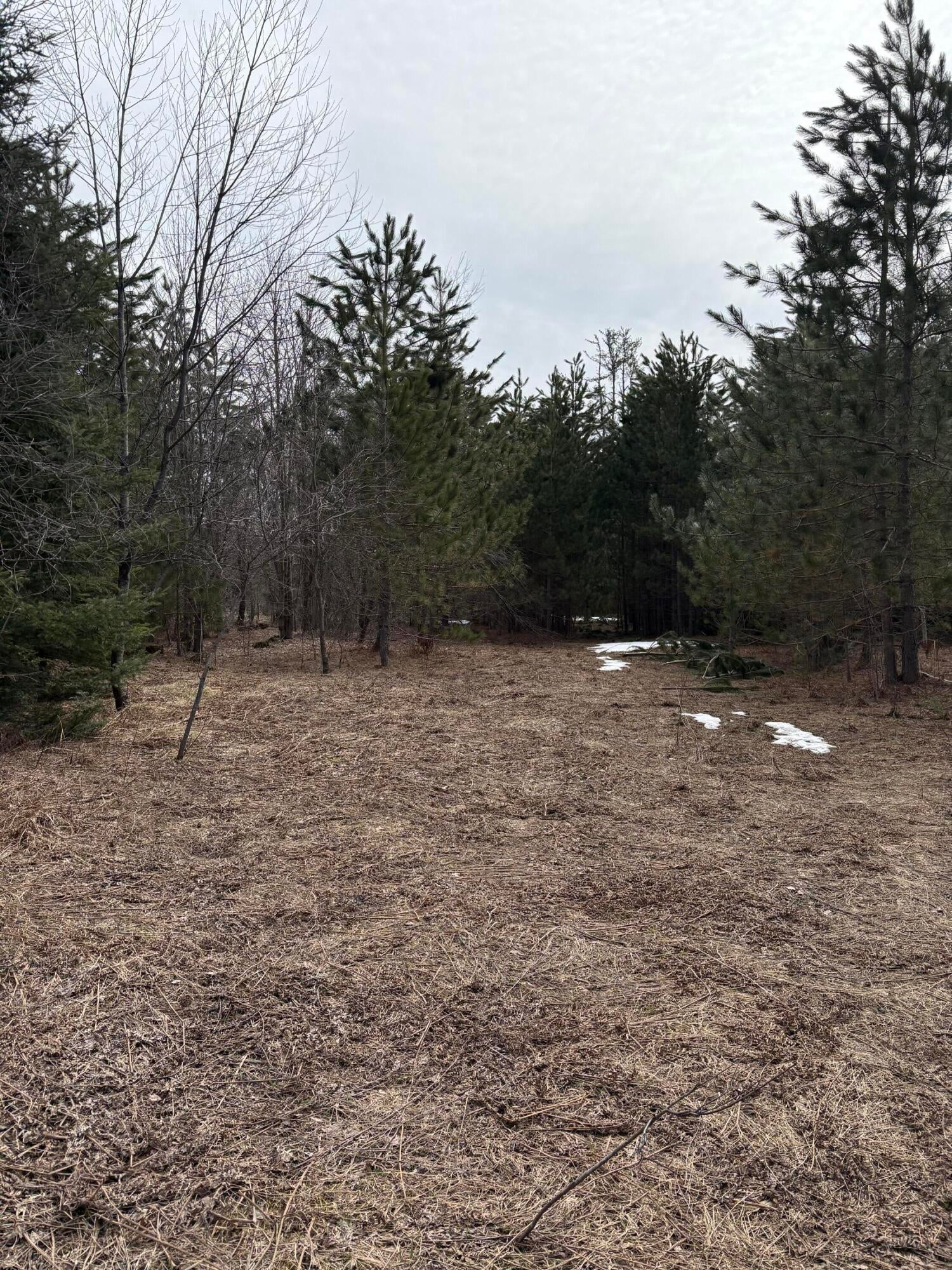 0 Nowak Road Gaylord, MI 49735 - Photo 3 of 8 Gallery Image 3