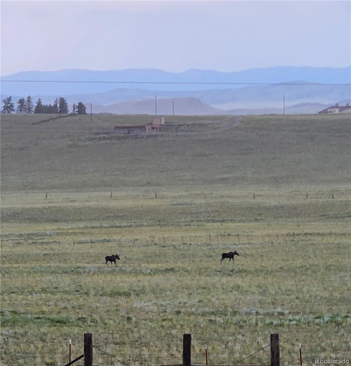 2660 Campfire Road Hartsel, CO 80449 - Photo 46 of 49