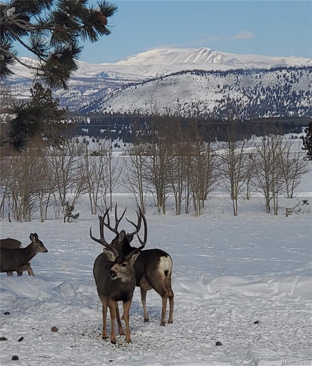 2660 Campfire Road Hartsel, CO 80449 - Photo 48 of 49