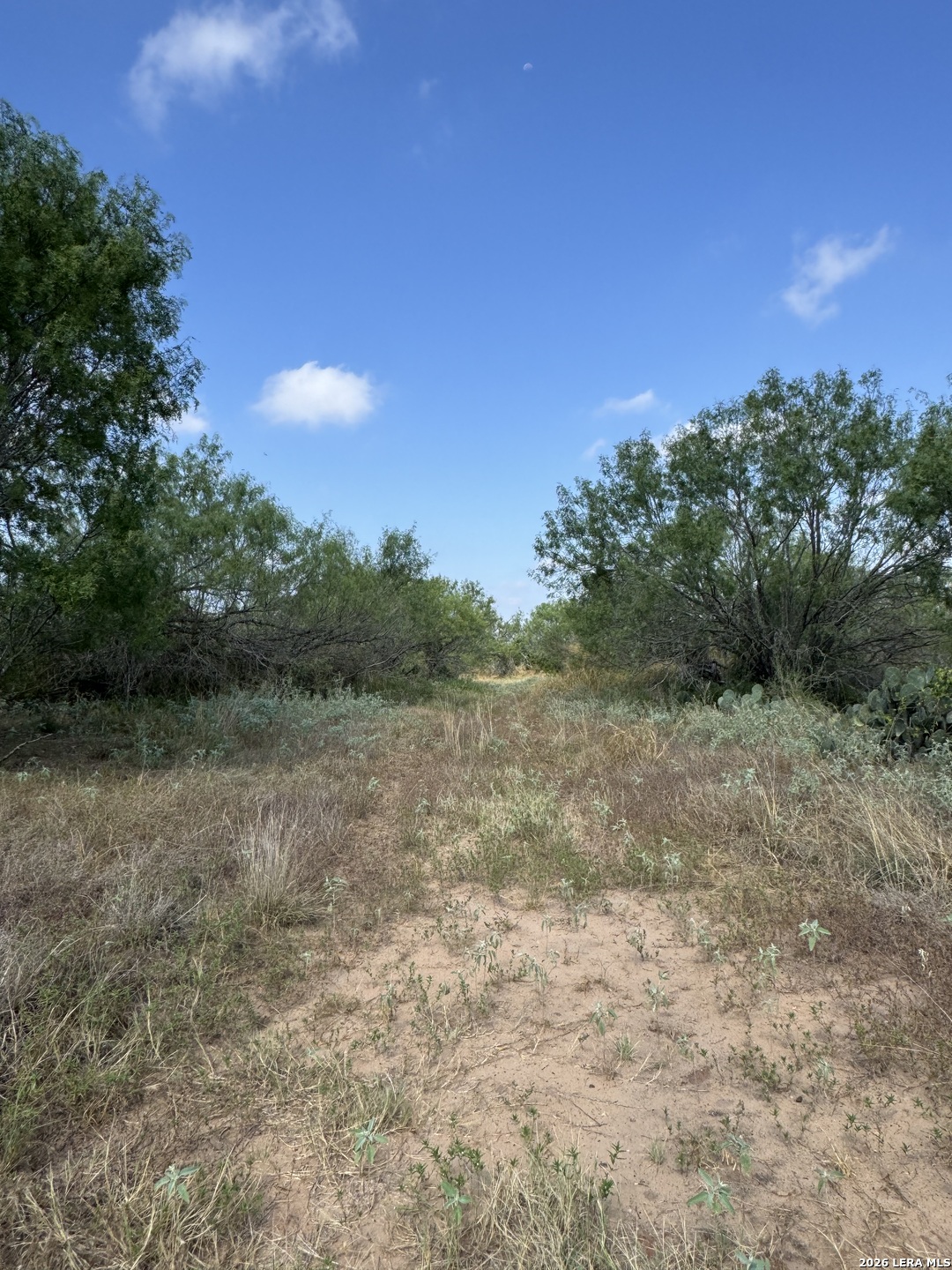 19455 Luckey Road Lytle, TX 78052 - Photo 18 of 32 Gallery Image 18