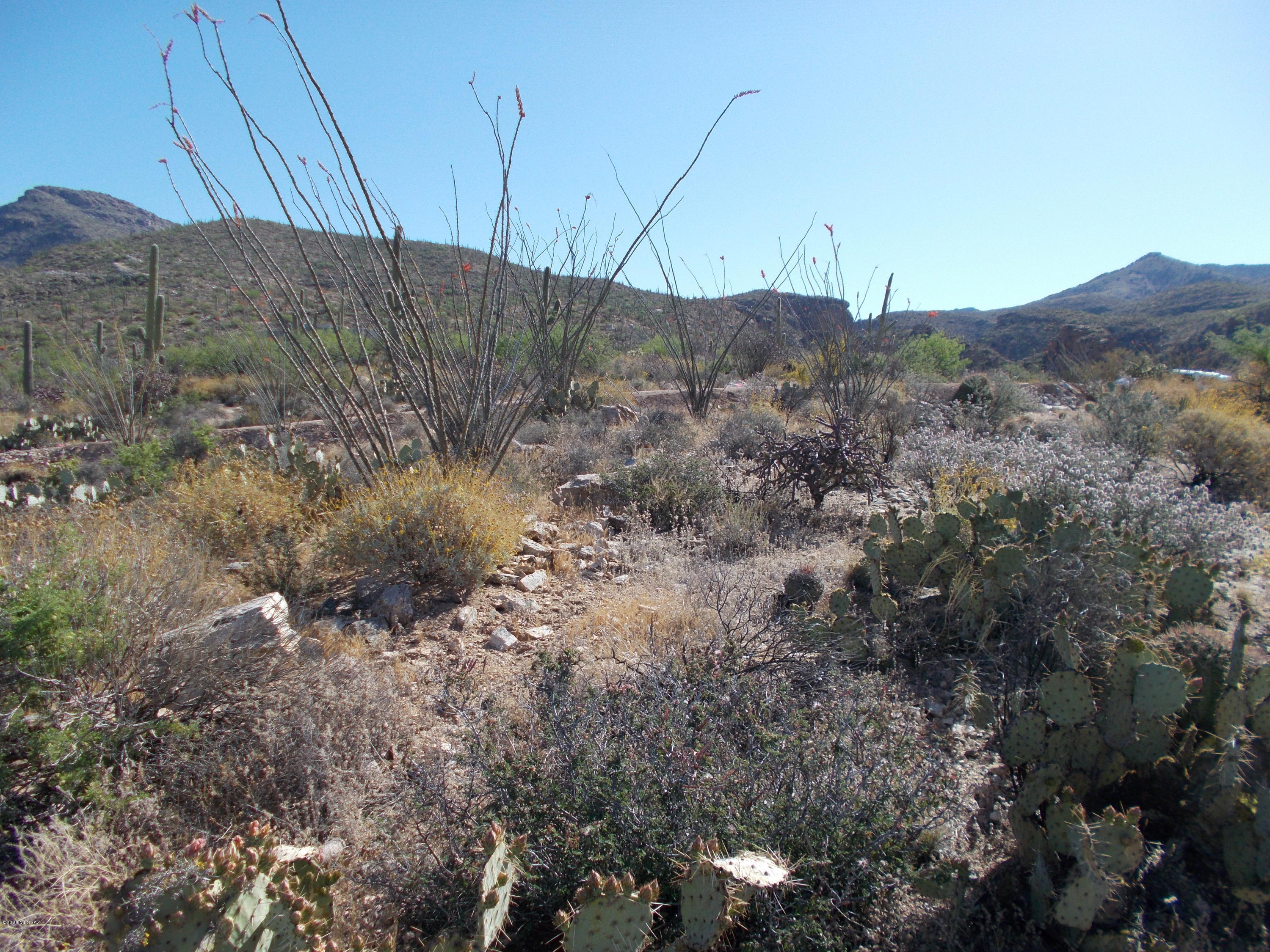 12702 East Horsehead Road Tucson, AZ 85749 - Photo 16 of 16 Gallery Image 16