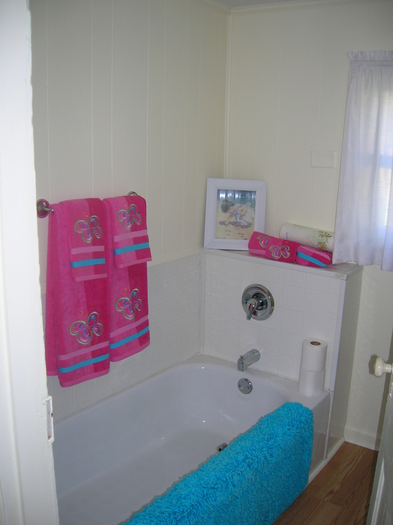 1516 Riverside Terrace Southeast Roanoke, VA 24014 - Photo 5 of 12 a bathroom with a bathtub and a shower