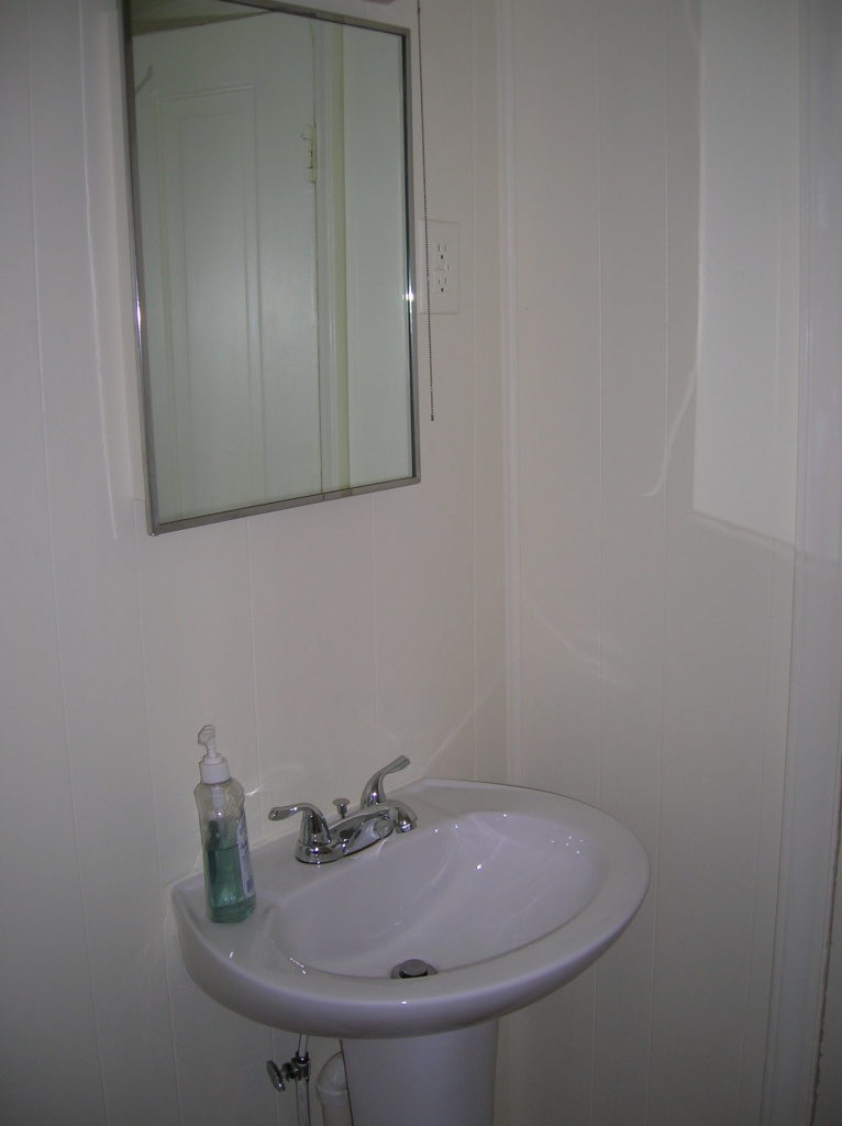 1516 Riverside Terrace Southeast Roanoke, VA 24014 - Photo 6 of 12 a bathroom with a sink and a mirror