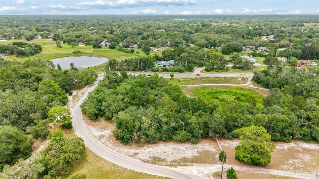 County Line Rd Spring Hill Hudson, FL 34667 - Photo 13 of 19