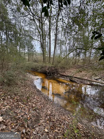 a view of a yard with large trees