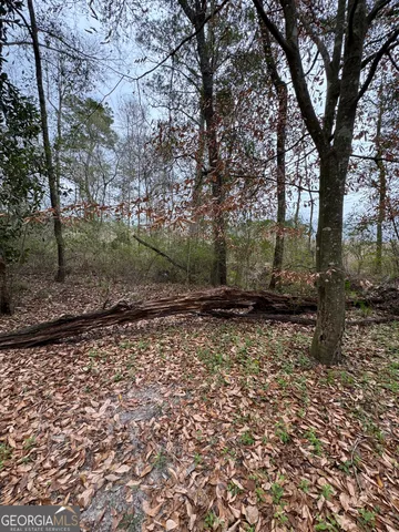 a view of a yard with plants and trees