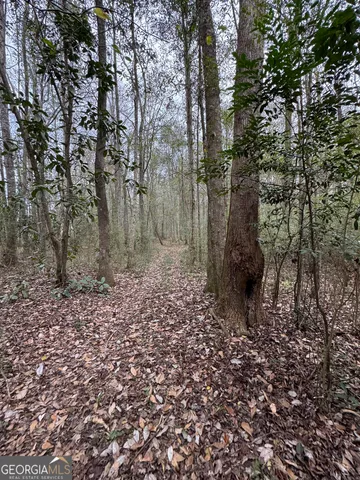 a big yard with lots of green space