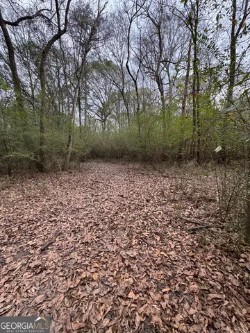 a view of a pathway with a yard