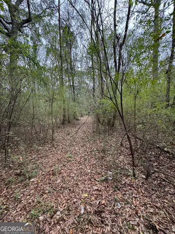 a big yard with lots of green space