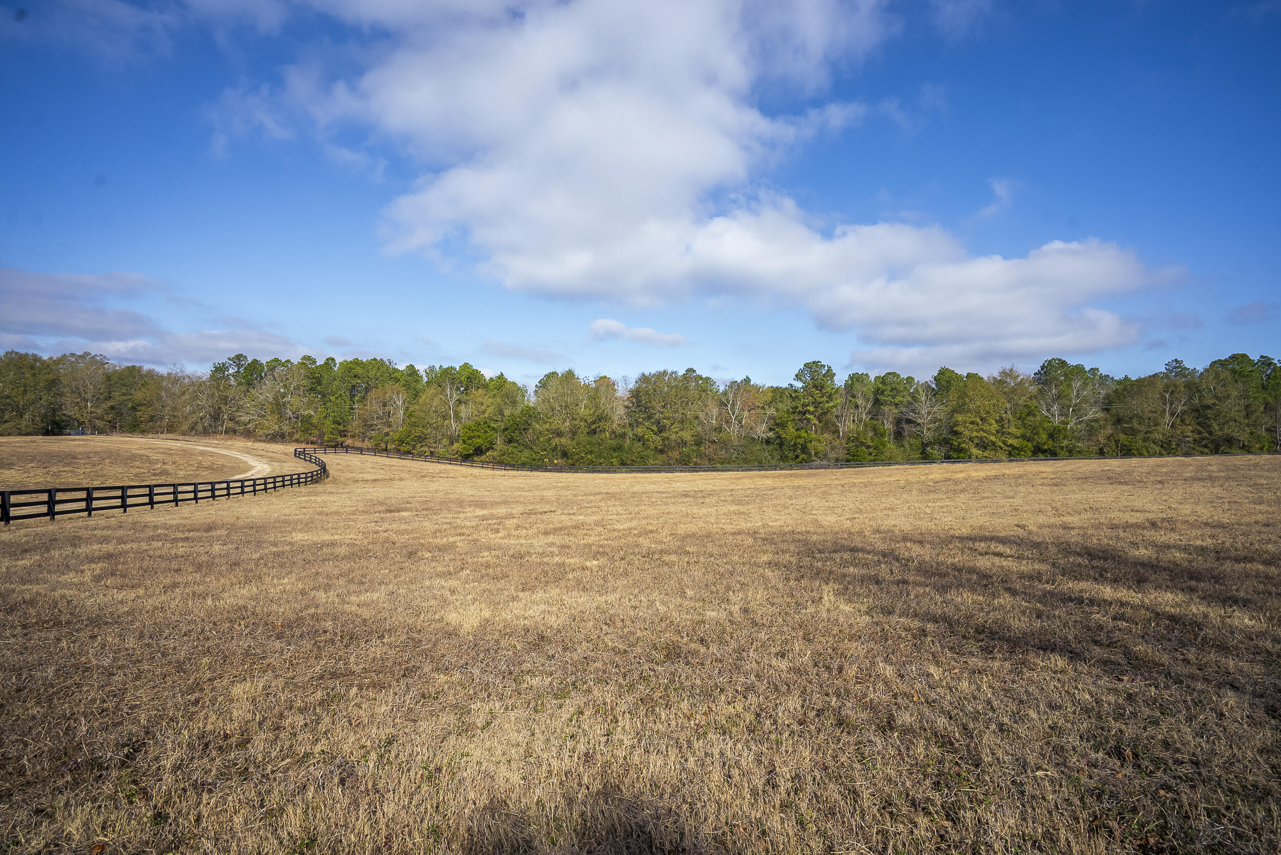 2300 Salley Road Salley, SC 29137 - Photo 73 of 89