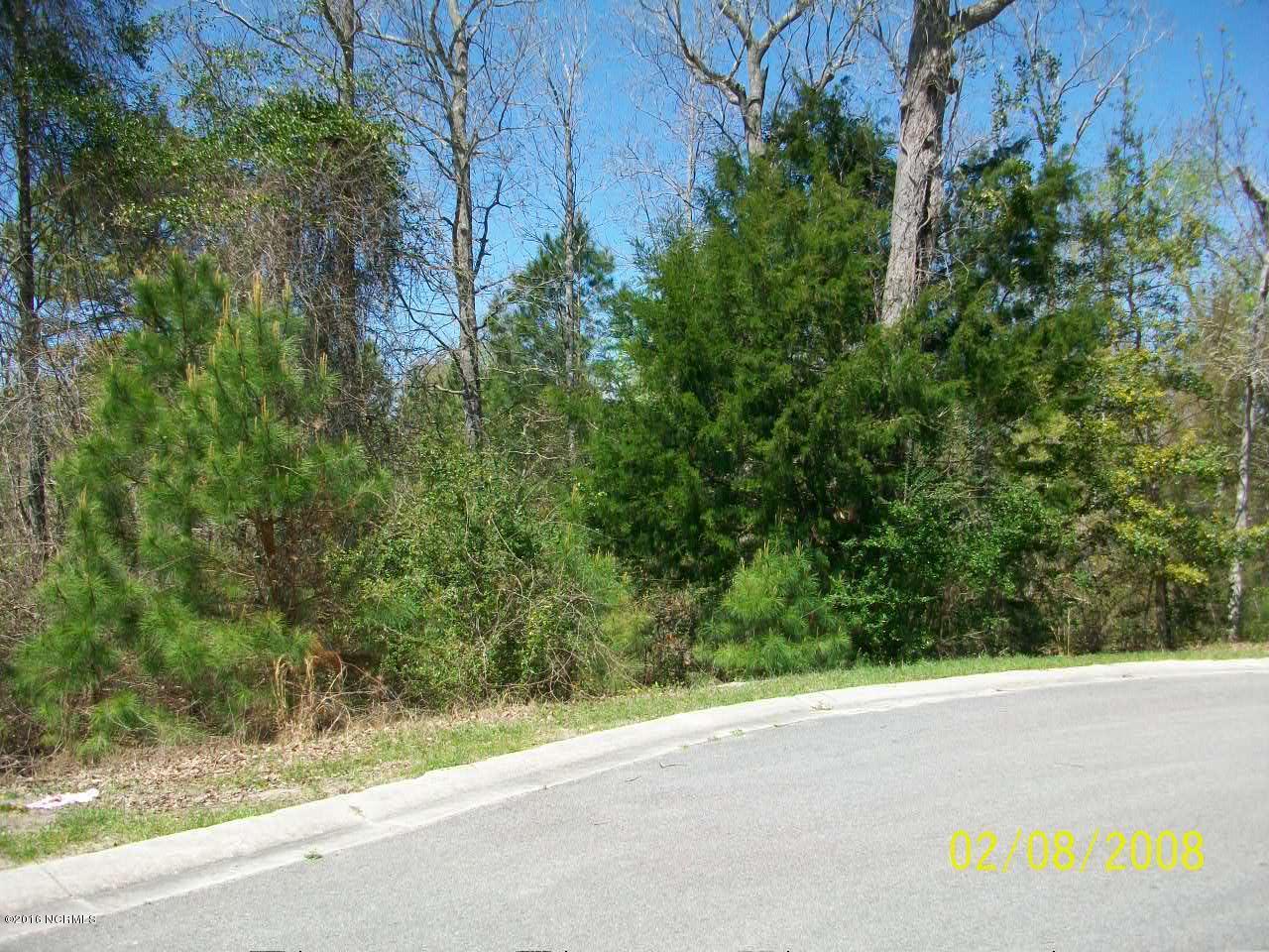 Lot 70 Compass Point Hampstead, NC 28443 - Photo 3 of 8 000_0002