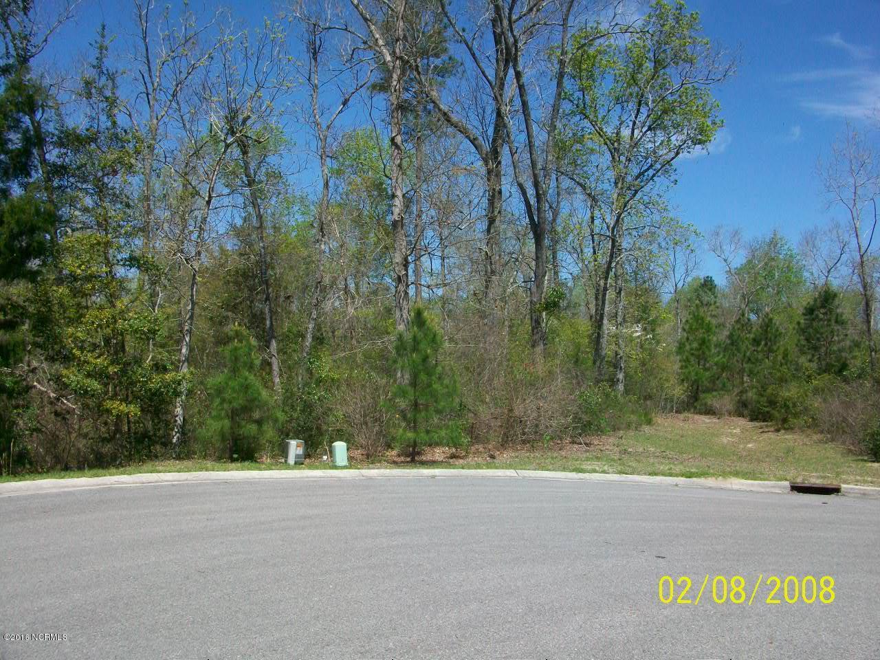 Lot 70 Compass Point Hampstead, NC 28443 - Photo 8 of 8 000_0008