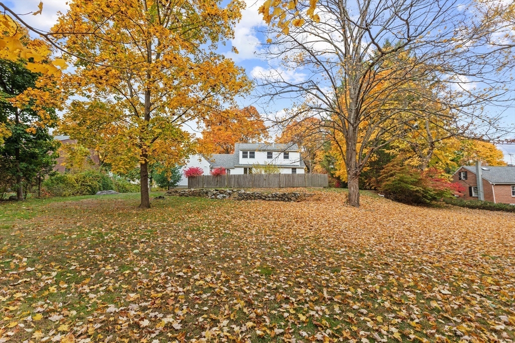 12 Hall Road Chelmsford, MA 01824 - Photo 26 of 32 a street view with large trees