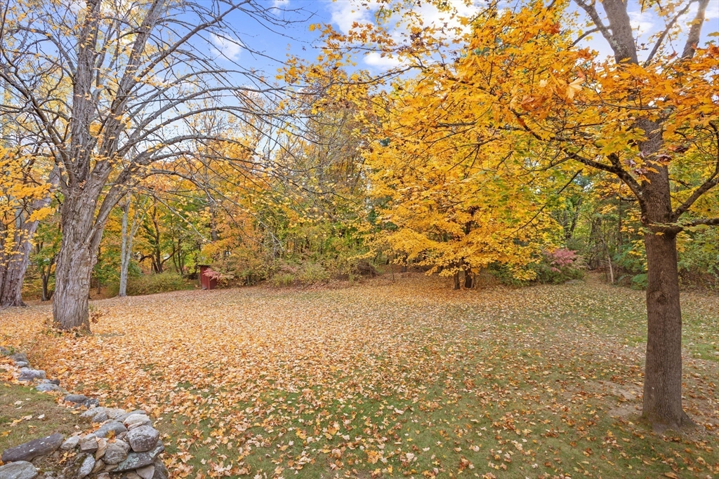 12 Hall Road Chelmsford, MA 01824 - Photo 27 of 32 a backyard of a house with lots of green space