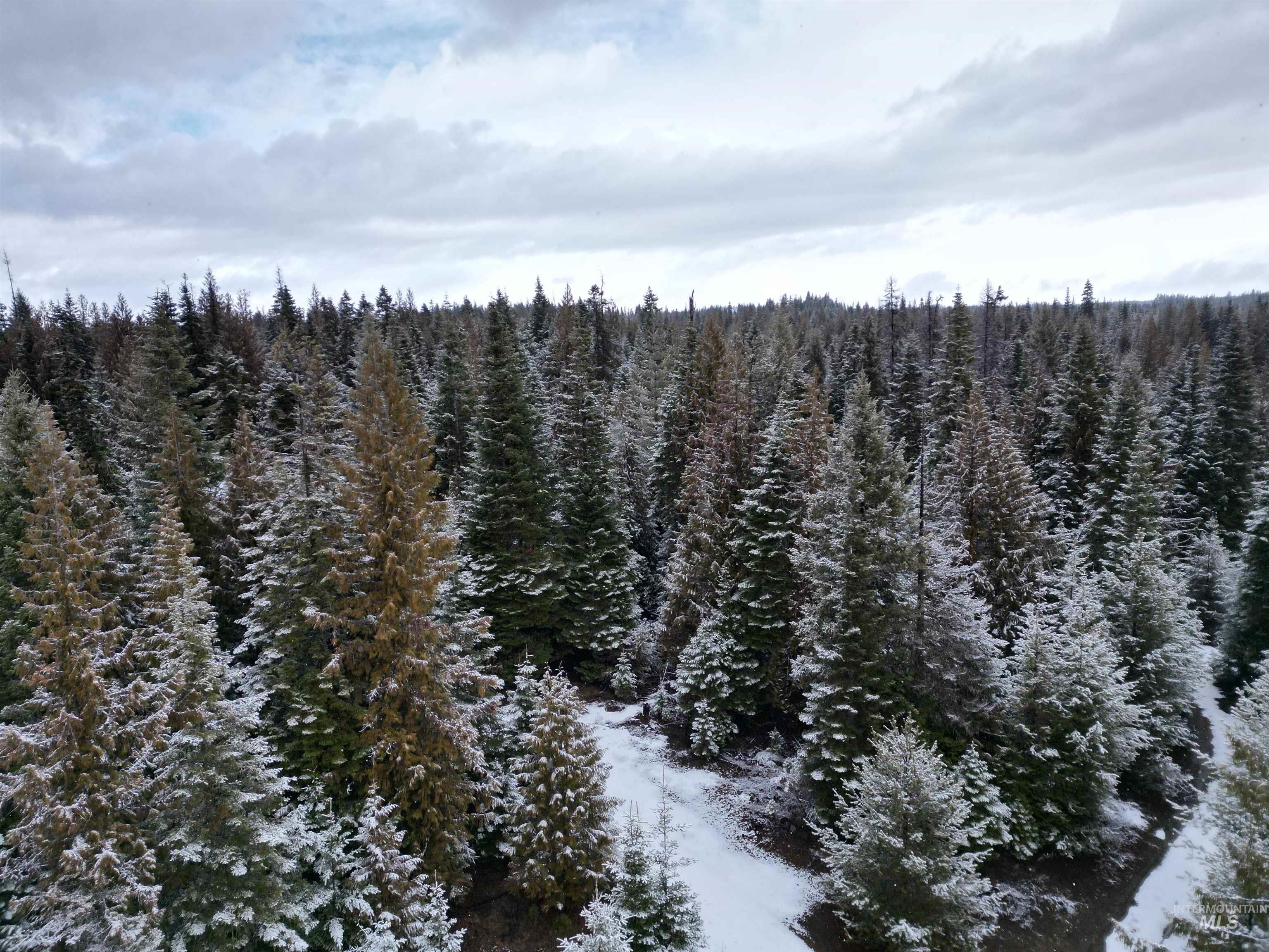 Tbd #8 Hjalmar Johnson Road Weippe, ID 83553 - Photo 1 of 1 Gallery Image 1