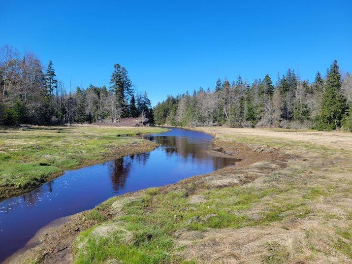 48 Vinal Cv Road Vinalhaven, ME 04863 - Photo 3 of 23 Salt Marsh
