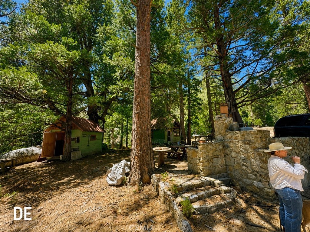 52915 Forest Rte 4S02 Idyllwild, CA 92549 - Photo 11 of 30