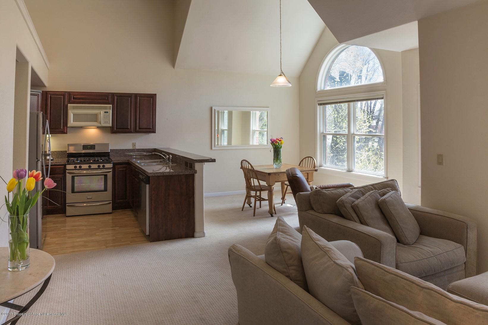755 Gold Rivers Court, Unit 24E Basalt, CO 81621 - Photo 4 of 9 24E Living room kitchen photo