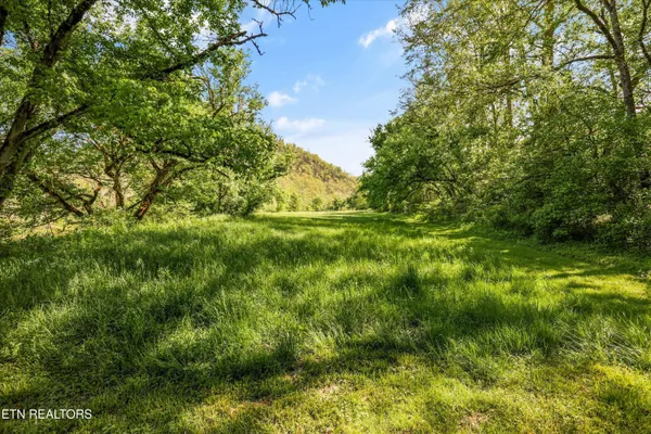 $1,149,500 | 4151 Cave Springs Road, Tazewell, TN 37879