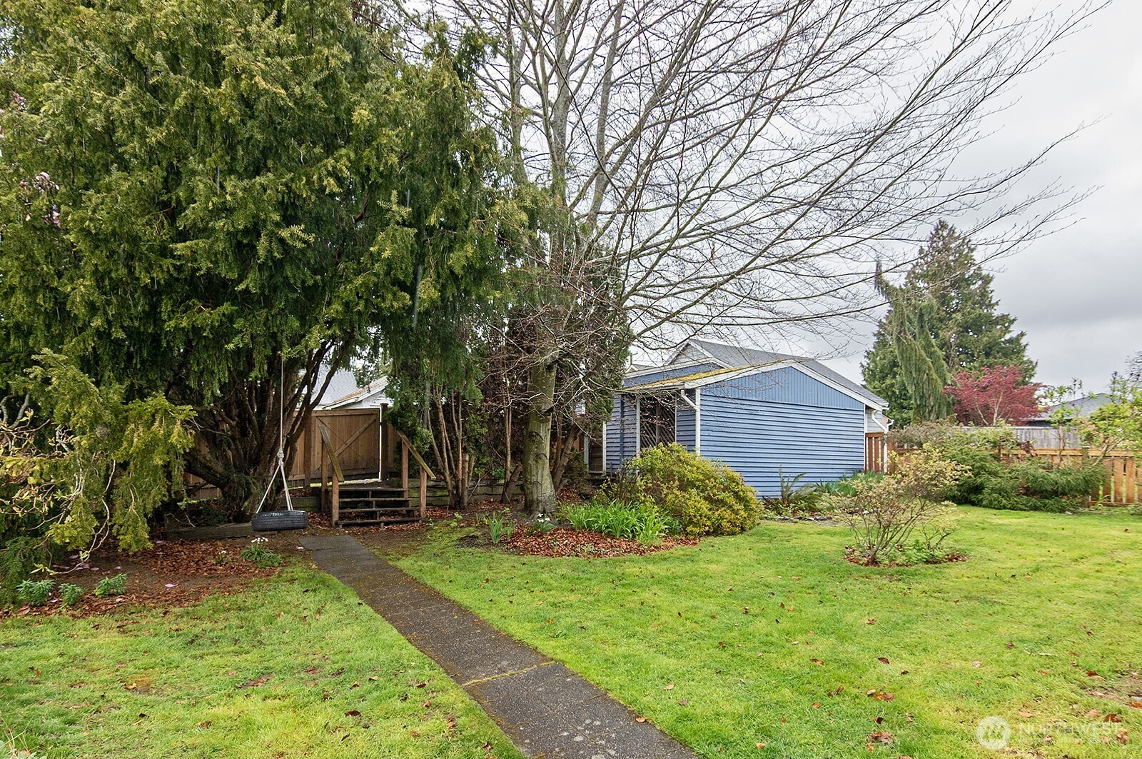 3244 Northwest 64th Street Seattle, WA 98107 - Photo 7 of 32 a view of a house with backyard and a tree