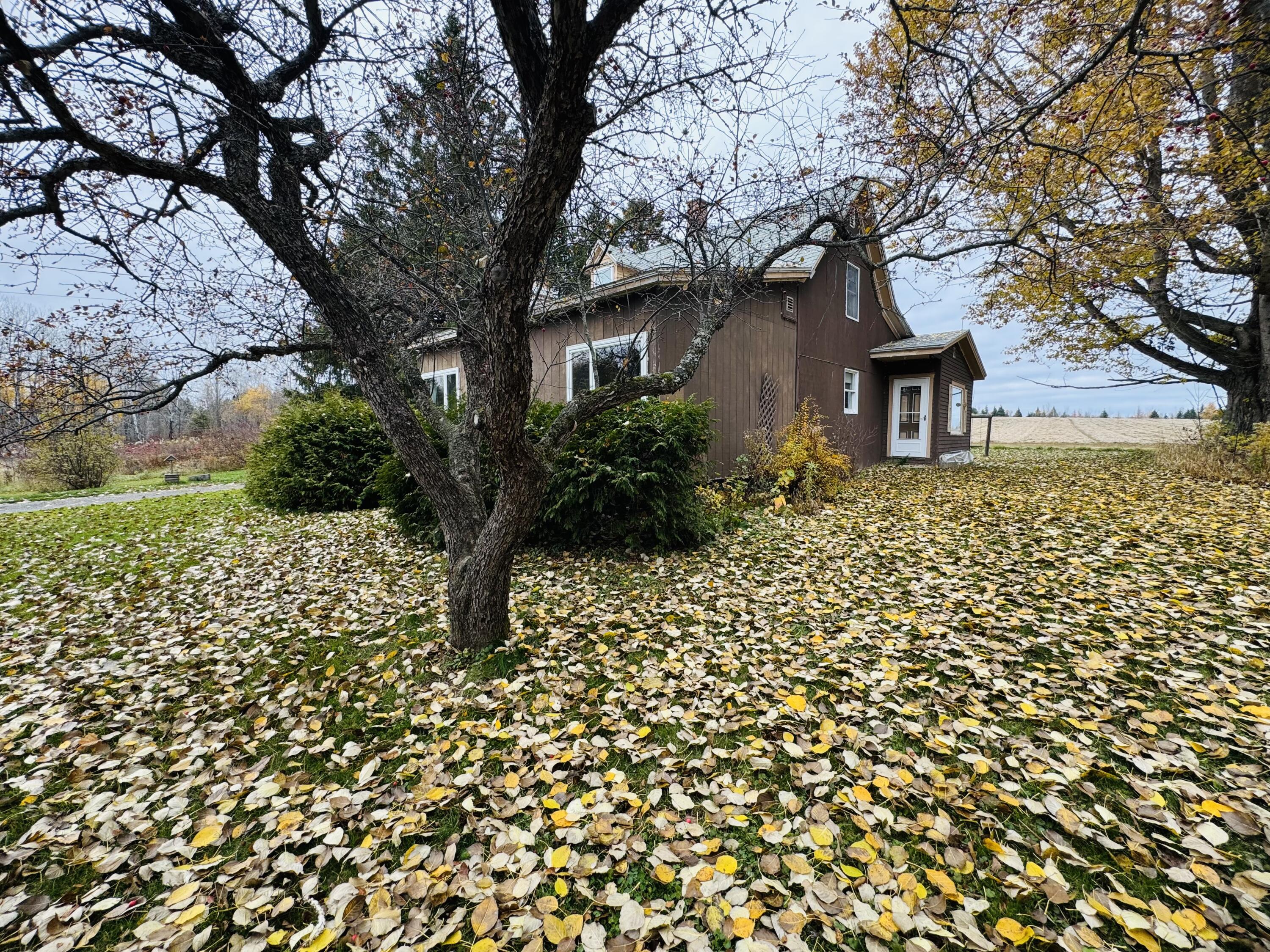 164 Baird Road Caribou, ME 04736 - Photo 3 of 28 IMG_8085