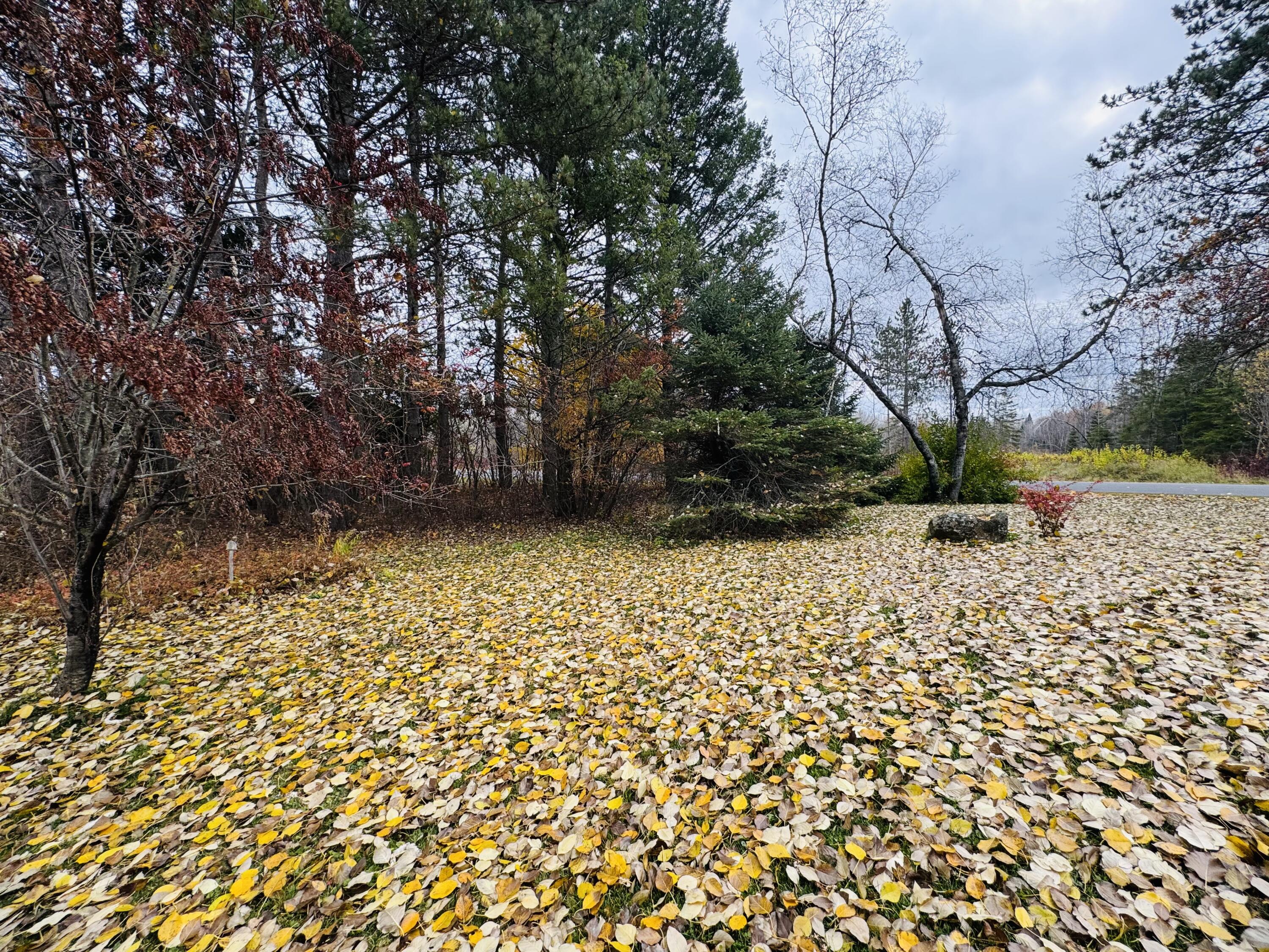 164 Baird Road Caribou, ME 04736 - Photo 5 of 28 IMG_8092