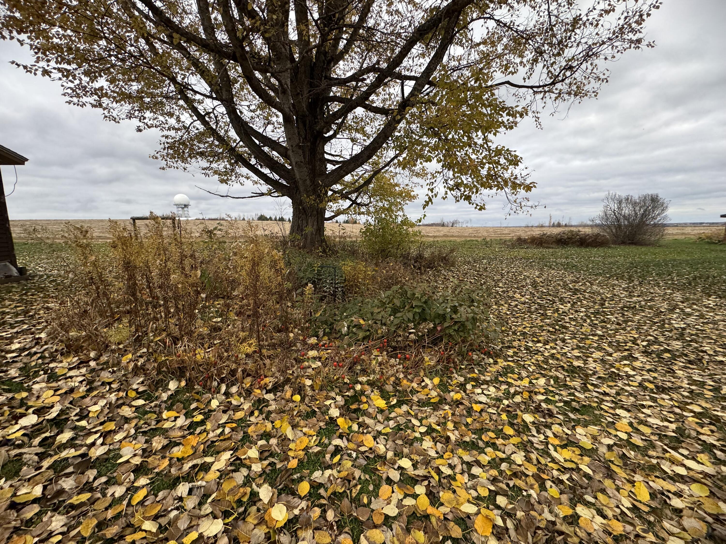 164 Baird Road Caribou, ME 04736 - Photo 6 of 28 IMG_8089