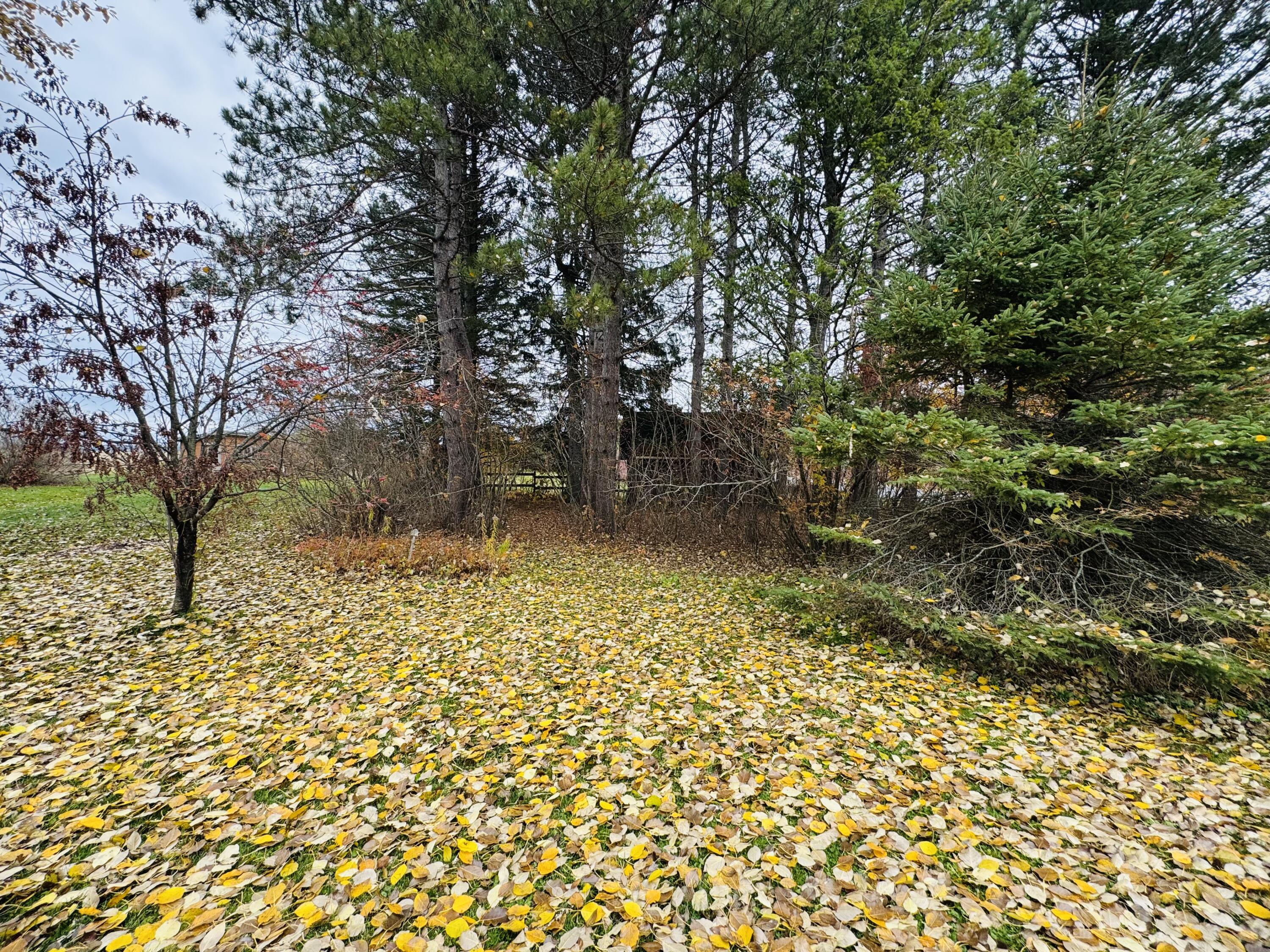 164 Baird Road Caribou, ME 04736 - Photo 7 of 28 IMG_8088