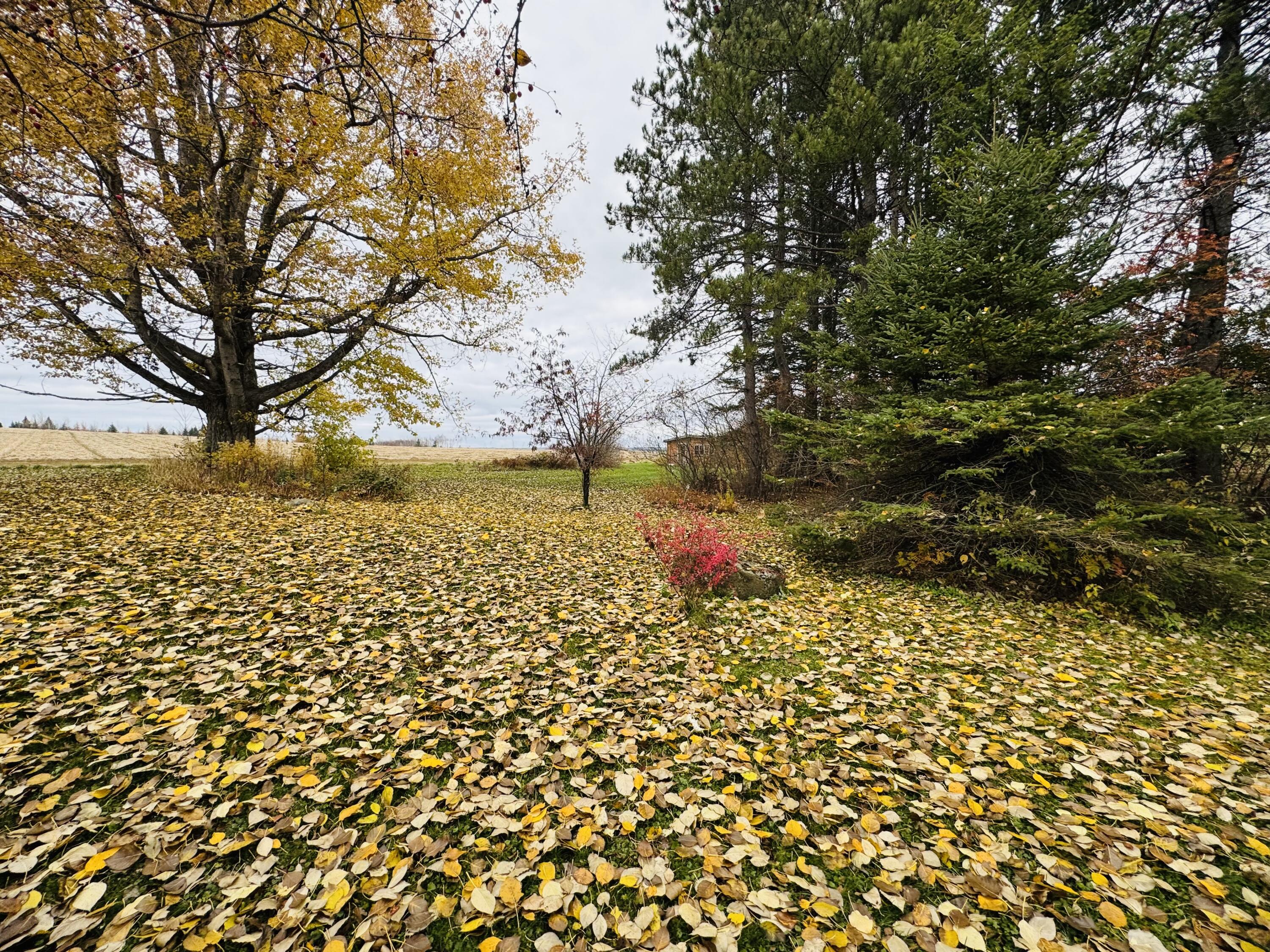 164 Baird Road Caribou, ME 04736 - Photo 8 of 28 IMG_8086