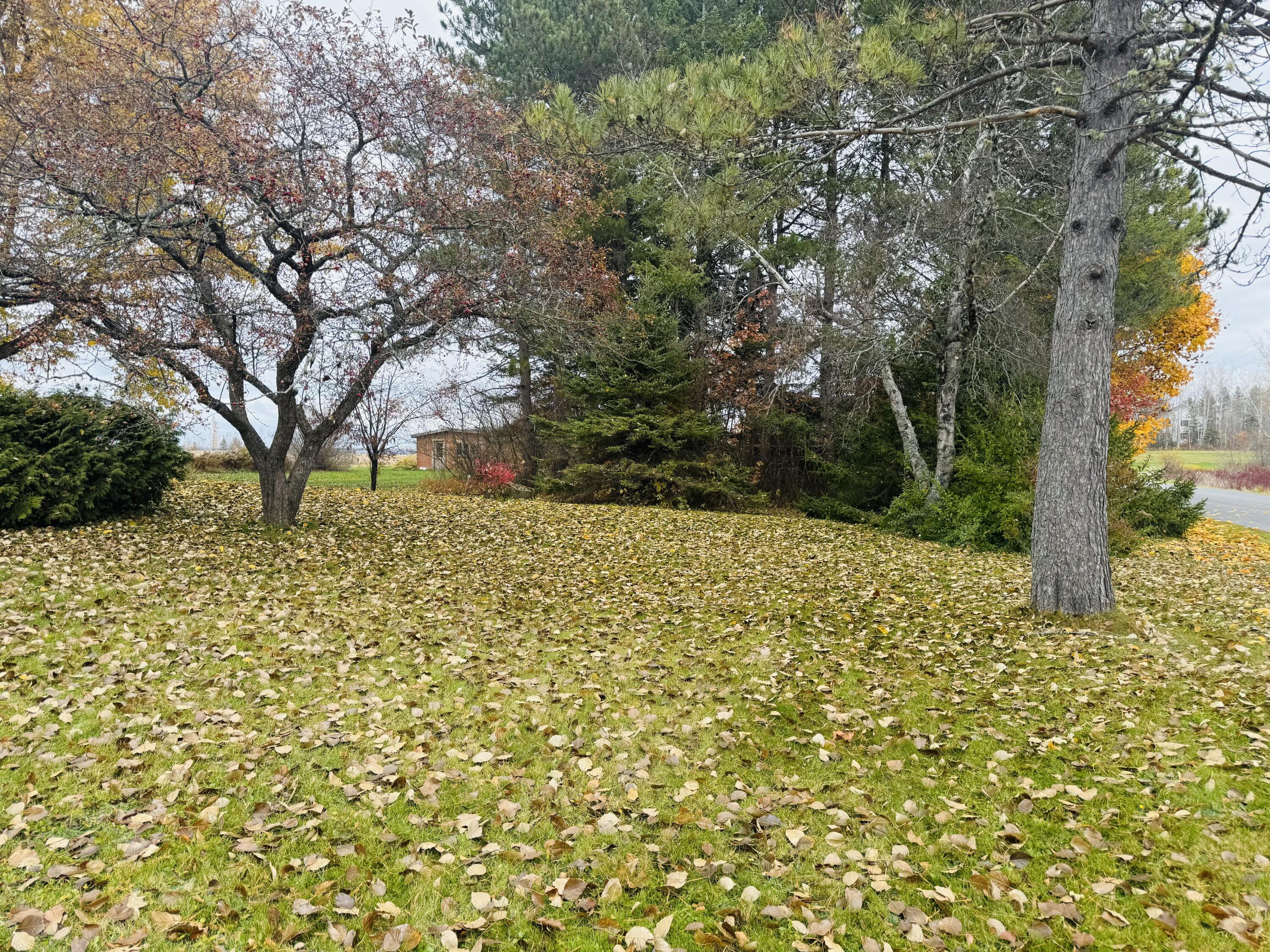 164 Baird Road Caribou, ME 04736 - Photo 9 of 28 IMG_8083