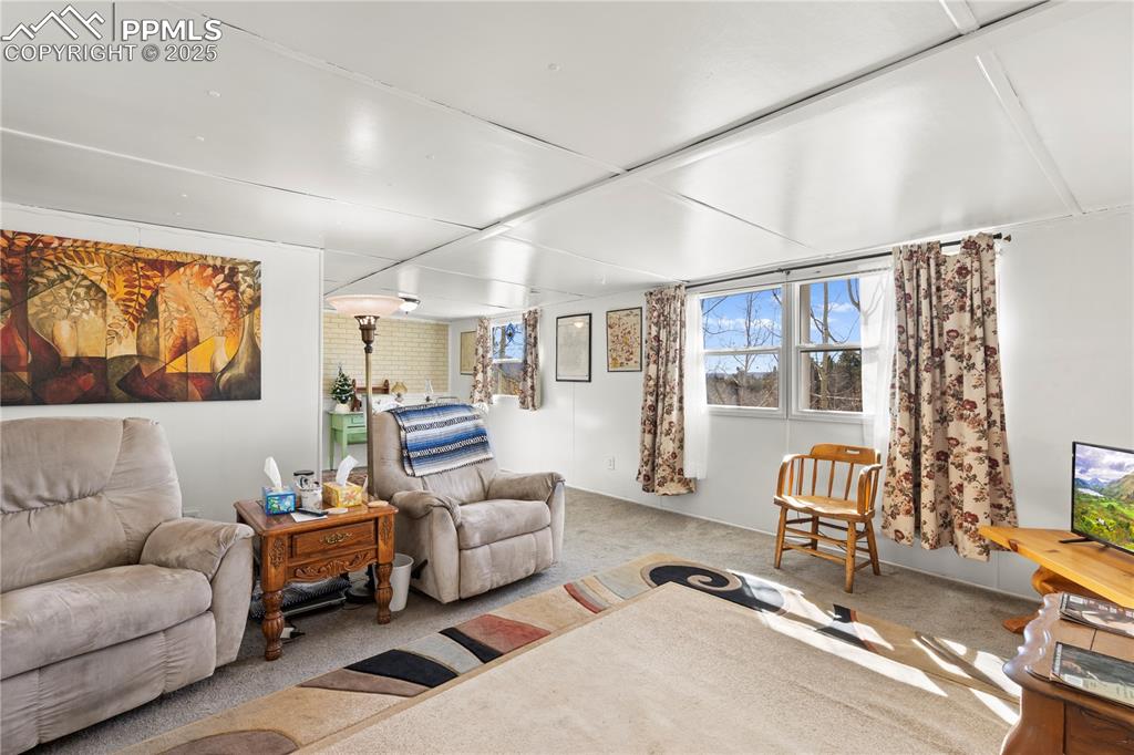 374 Fern Road Woodland Park, CO 80863 - Photo 11 of 31 a living room with furniture and a large window