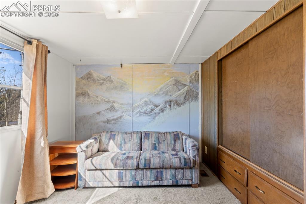 374 Fern Road Woodland Park, CO 80863 - Photo 17 of 31