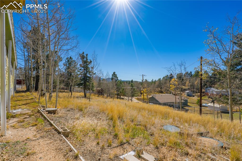 374 Fern Road Woodland Park, CO 80863 - Photo 6 of 31 a view of a yard with trees in the background