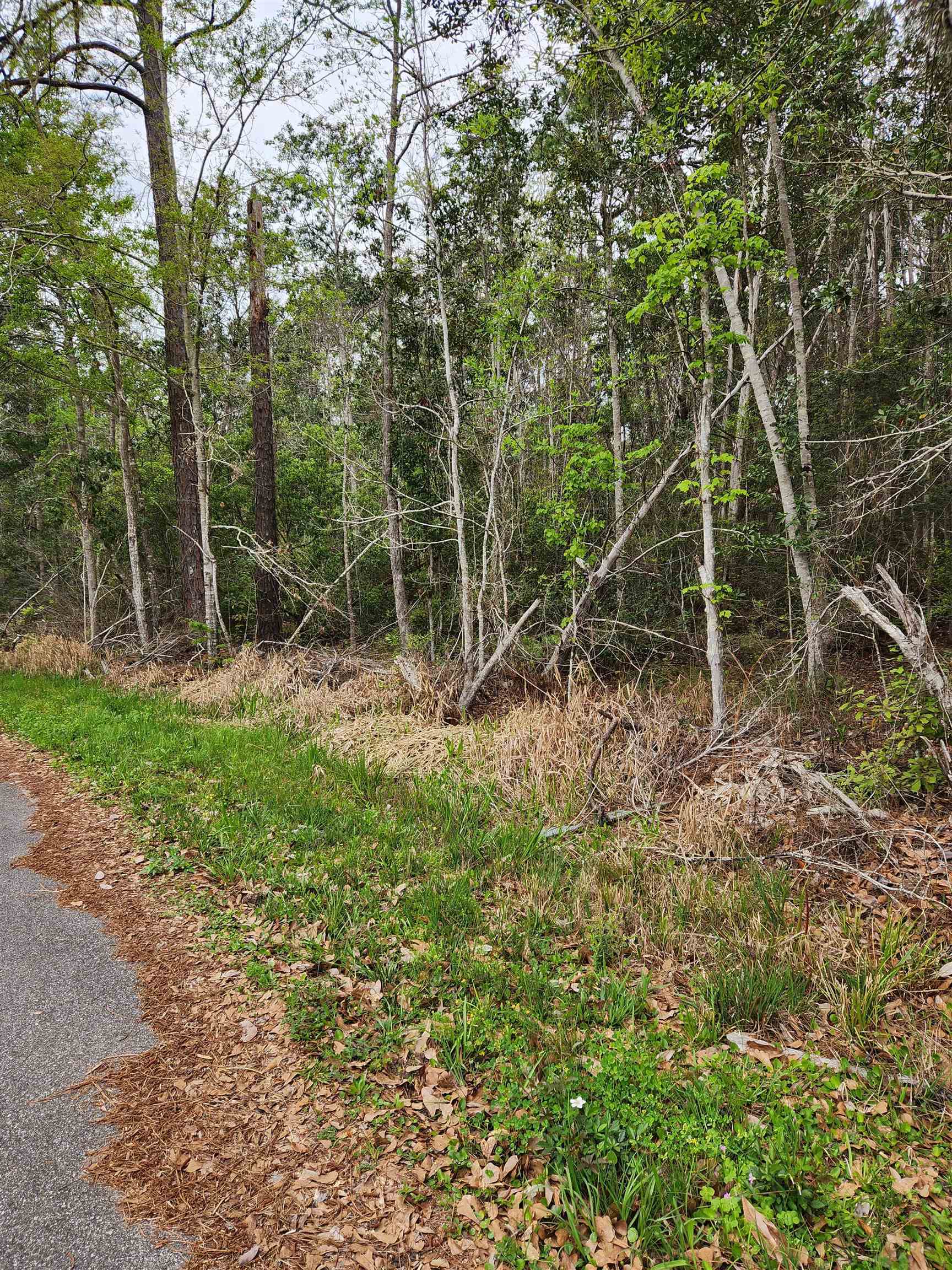 0 7th Street Lillian, AL 36549 - Photo 2 of 6 View of landscape