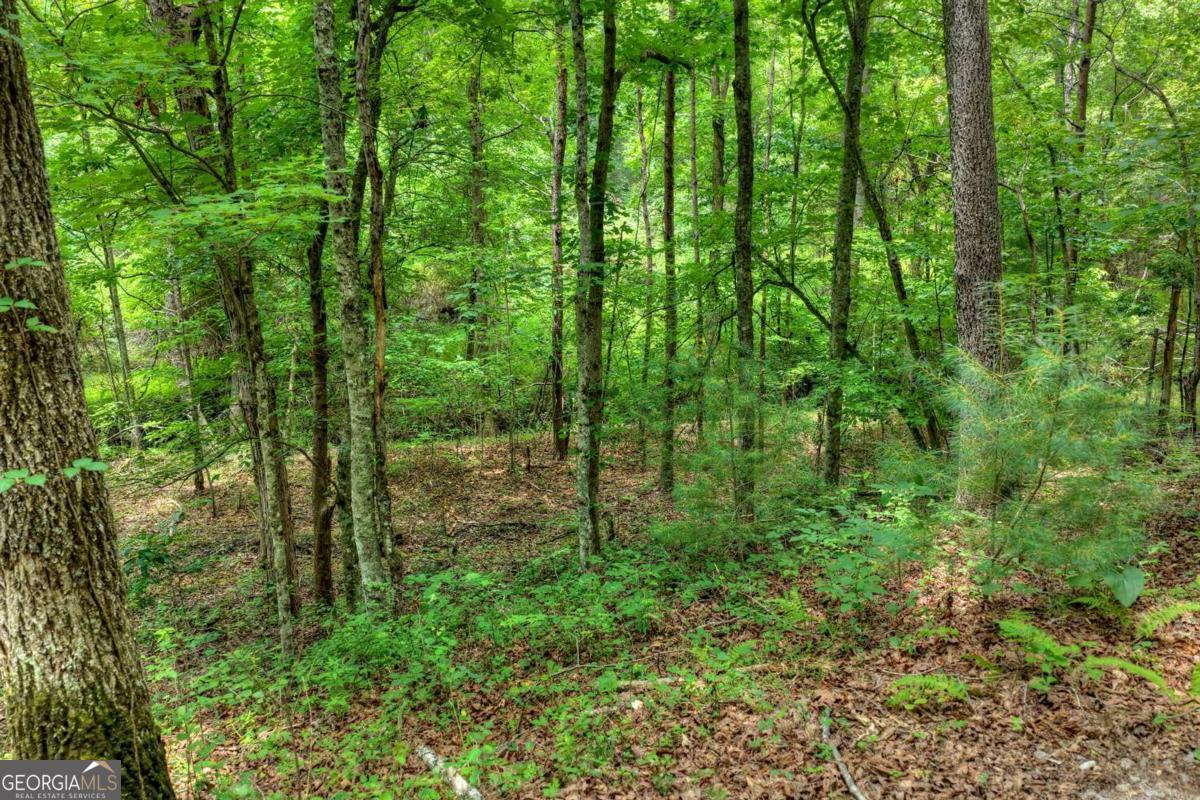 0 Scots Glen Road Mineral Bluff, GA 30559 - Photo 10 of 19