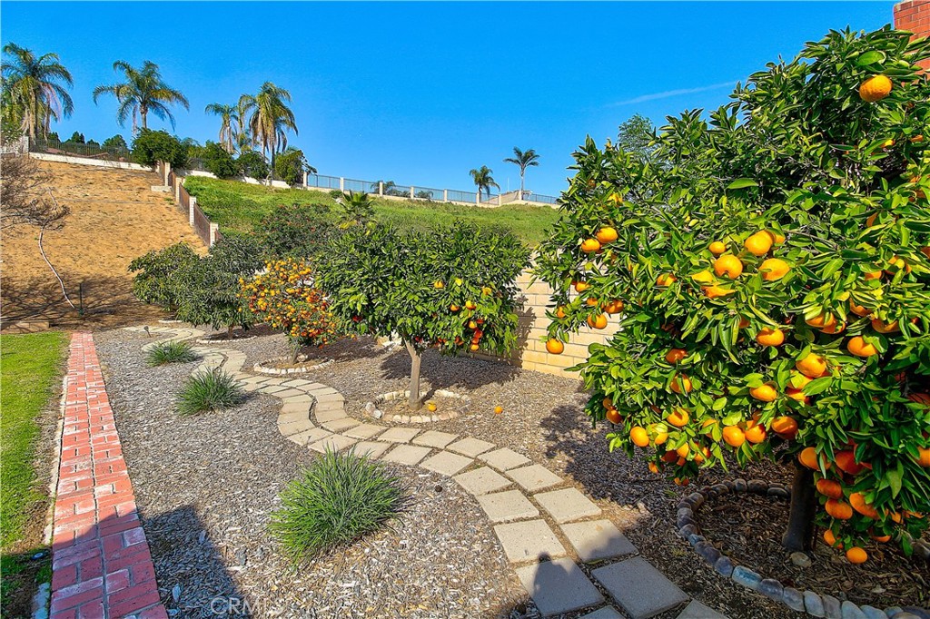 10849 Morning View Court Riverside, CA 92505 - Photo 46 of 50