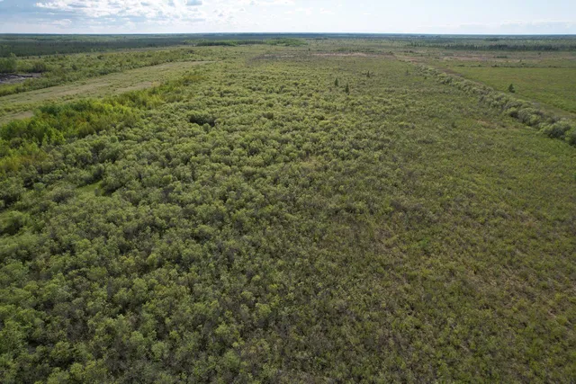 $196,500 | Tbd 39th Street Southeast, Baudette, MN 56623