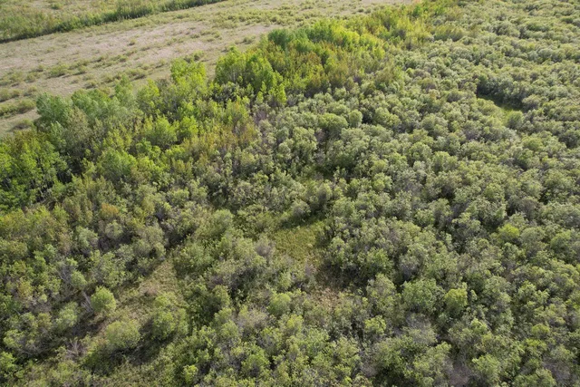 $196,500 | Tbd 39th Street Southeast, Baudette, MN 56623