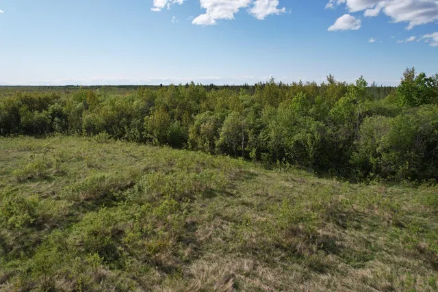 $196,500 | Tbd 39th Street Southeast, Baudette, MN 56623