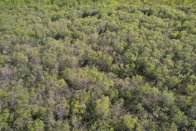 $196,500 | Tbd 39th Street Southeast, Baudette, MN 56623