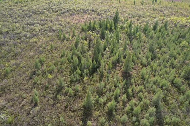 $196,500 | Tbd 39th Street Southeast, Baudette, MN 56623