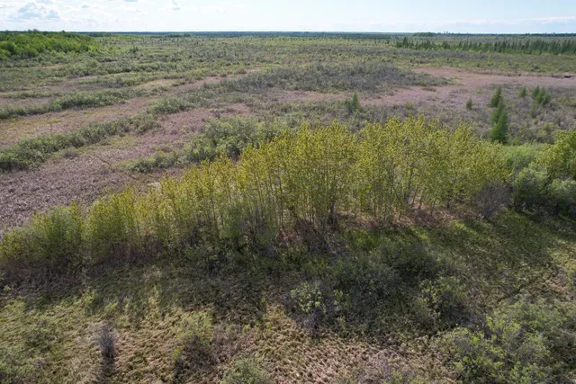 $196,500 | Tbd 39th Street Southeast, Baudette, MN 56623