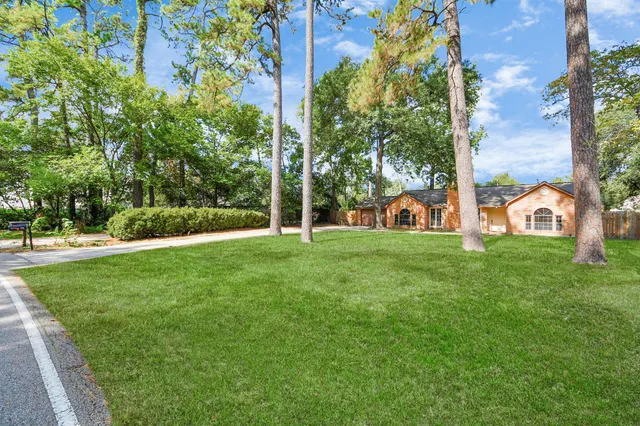 a view of a park with large trees