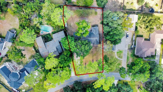 an view of a garden with plants