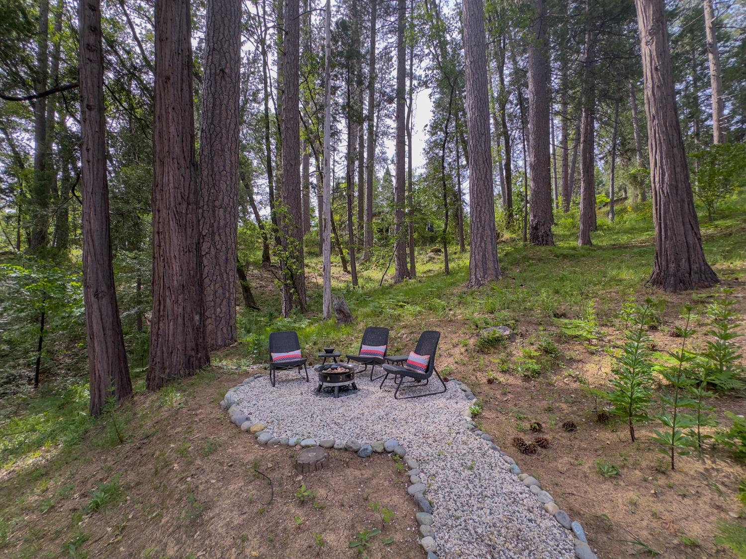 157 Grove Street Nevada City, CA 95959 - Photo 11 of 55 a backyard of a house with lots of green space and fountain
